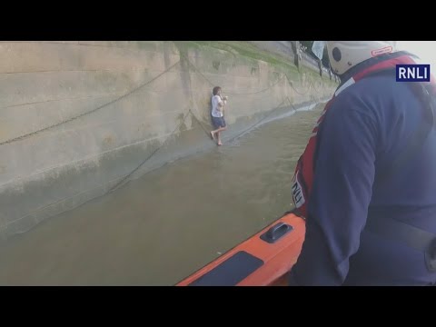 Man leaps into River Thames to save dog and has to be rescued himself