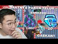 SAATNYA PANEN & JUAL TELUR!! Profit Kah?? BankEgg | Growtopia 2026