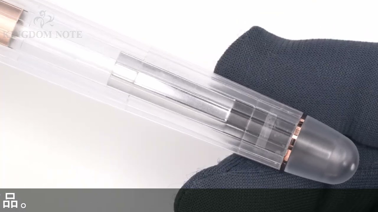 PLATINUM プラチナ 万年筆 #3776 センチュリー NICE(ニース) ロゼ 細字