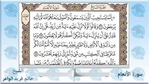 سورة الأنعام الشيخ حاتم فريد ♥️))