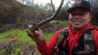 How to find sheds in Southern California!