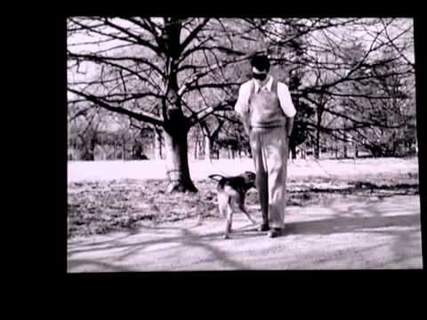 Video: Vintage Dog