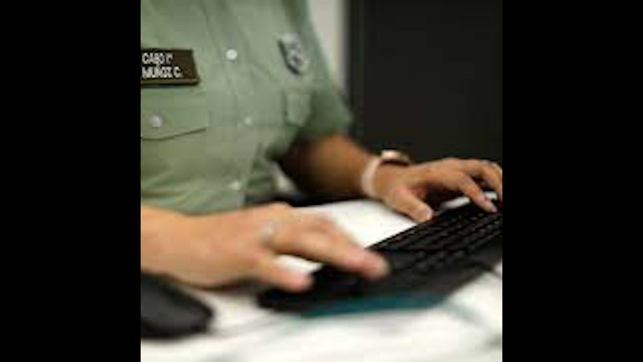 Entrevista | Carabineros y excusas en Comisaría Virtual por plebiscito: “Sólo acogemos denuncias ...