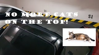 Repel cats from your convertible top!