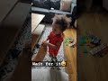 Baby Massages Dad S Feet Baby Toddler Footmassage 1yearold Shorts Fypシ Viral Viral Like 