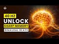Unlock Sharp Memory: 40 Hz Binaural Beats for Focus & Concentration