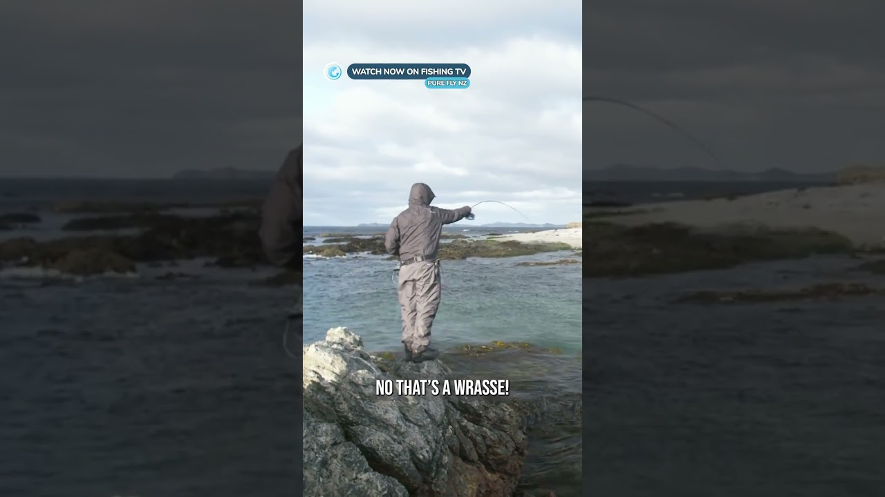 Using a drone to find fish! Have you tried this? - ‘Pure Fly NZ’ on FishingTV