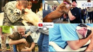 Dogs Meet Their Owners After Long Time | Dog Reunited with Owner Compilation | Dogs Welcoming Owner.