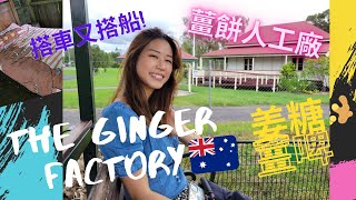 澳洲Vlogginger Factory 薑餅人工廠 回到小小世界 到處都係蜥蝪仔澳洲買傢俬