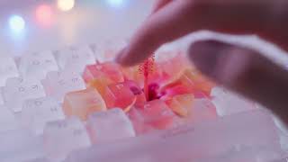 [AI ASMR] 꽃 키보드 타건 | Flower keyboard typing ASMR screenshot 5