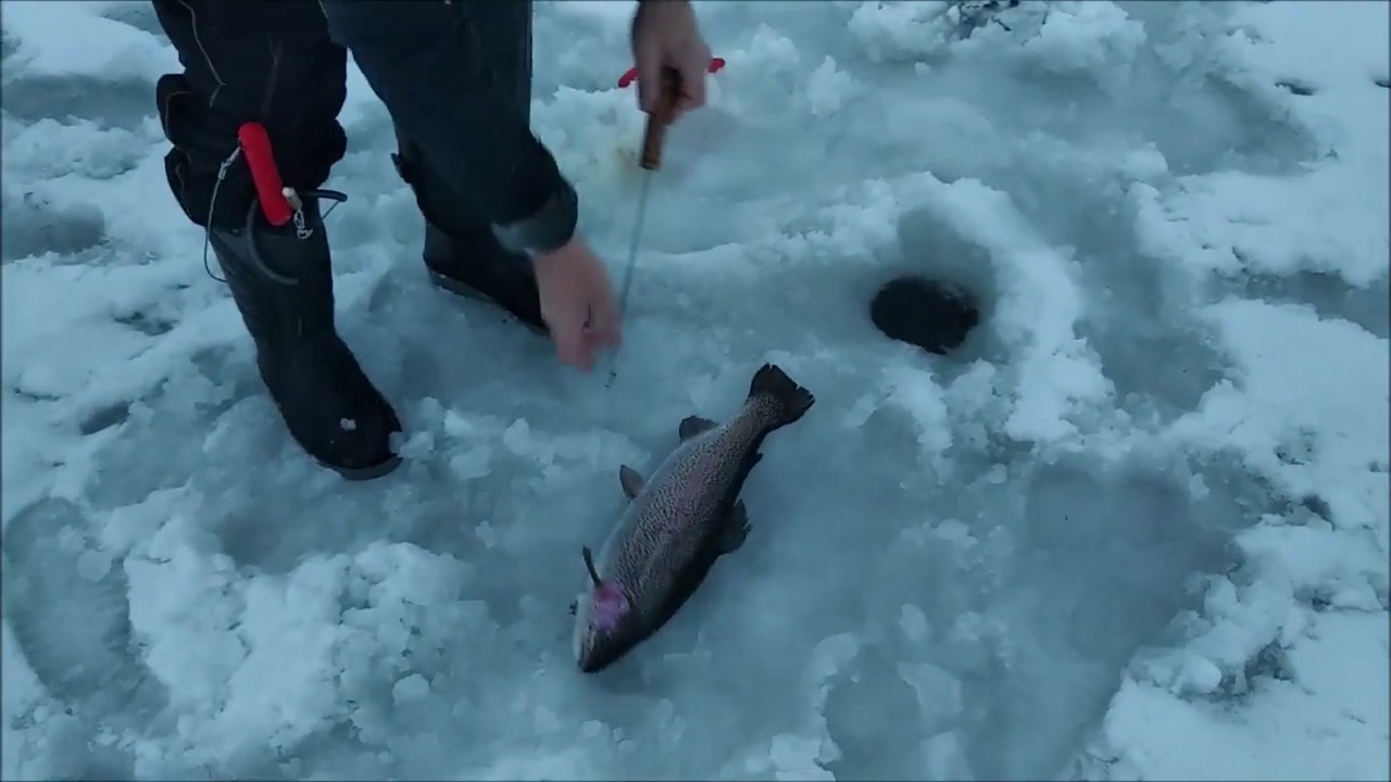 Клевым местам видео. Блесна на сига. Сиг на платнике.