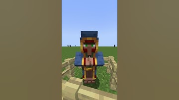 Wandering Trader in Minecraft Game