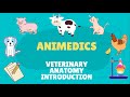 VETERINARY ANATOMY INTRODUCTION AND BRANCHES