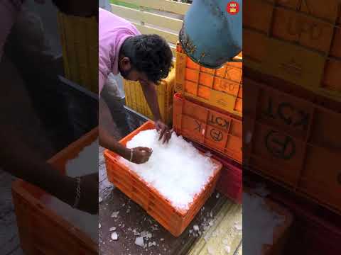 Ice making process For Fish Market