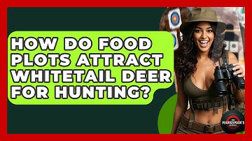 How Do Food Plots Attract Whitetail Deer For Hunting? - The Marksman