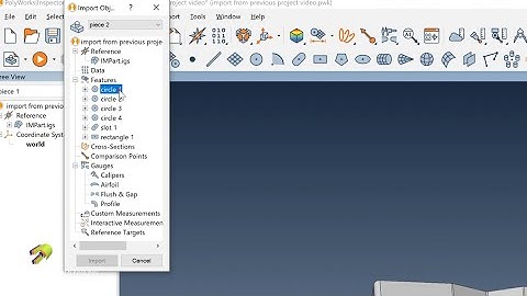 PolyWorks: How to Import Features from Projects