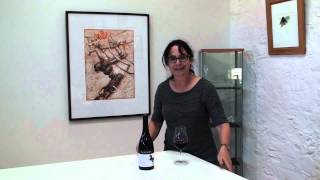 Yalumba Y Series Shiraz-Viognier with Louisa Rose