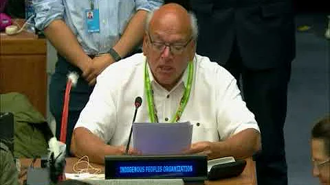 Chairman Valentin Lopez at United Nations 4/17/18