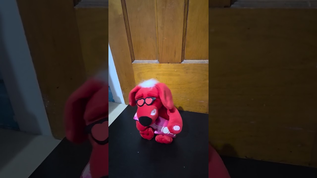 Dandee guitar playing Valentine's Day dog