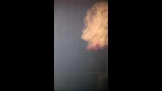robisc garage of evil 2012 garage haunt walk thru