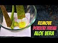 Remove poison from aloe vera || How to Use Fresh Aloevera