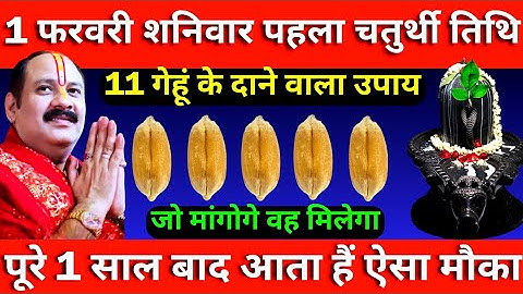 1 फरवरी शनिवार पहला विनायक चतुर्थी तिथि को 11 गेहूं के दाने वाला उपाय जरूर करे || Pradeep Ji Mishra
