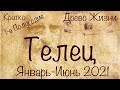 ТЕЛЕЦ ♉️  Расклад на 1-е Полугодие 2021 года/Каббалистическое таро