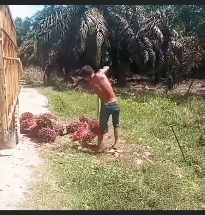 Walau Cacat Dia tetap kerja keras tanpa mengeluh - dan pantang baginya untuk meminta minta #shorts