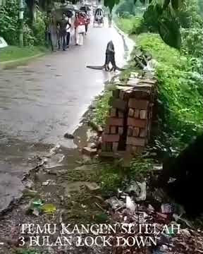 Lama x jumpa sebb lockdown....