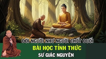 Đời Người Như Người Chết Đuối – Bài Học Tỉnh Thức Từ Kinh Dòng Sông | Sư Giác Nguyên | Sư Toại Khanh
