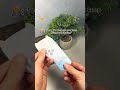 Who else needs miniiphone#iphone #miniphone #smartphone#unboxing #phonecase #smartphone #tech