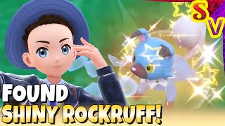 Shiny Rockruff Found 4x Times in the Same Outbreak! Live Shiny Reaction in Pokemon Violet