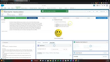 Case Management System - Demo