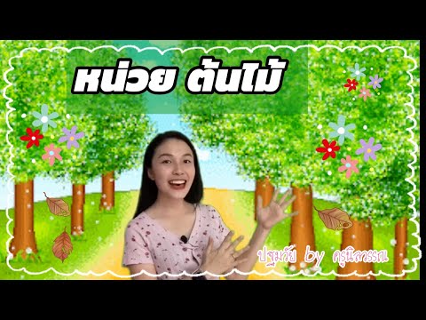 เรียนรู้ หน่วยต้นไม้ (ลักษณะ ส่วนประกอบของต้นไม้)