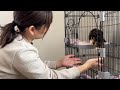 まさか⁈子猫が自分から抱っこに来た？