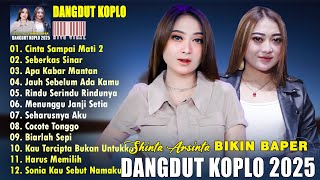 Dangdut Koplo Terbaik 2025 Hits Viral Tiktok - Kumpulan Lagu Terbaik Shinta Arsinta 2025