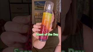 Would love to know your opinion! #bathandbodyworks #perfume #sashaul #b&bw #intothewild #shopmystash