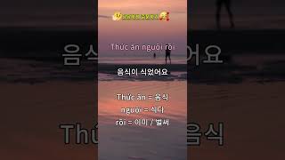 베트남어 첫걸음 / 베트남 필수 식당 기초회화 / 원어민 발음 / 100번 듣기 / 자면서 듣기/ 당당하게 주문하기