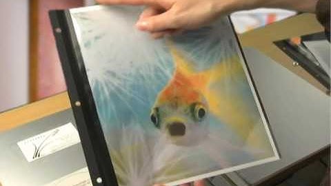 How to Choose Page Inserts for your Screwpost Portfolio Book