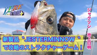 【ルアー合衆国プラス】新製品〝JESTER MINNOW〝で攻略のストラクチャーゲーム！