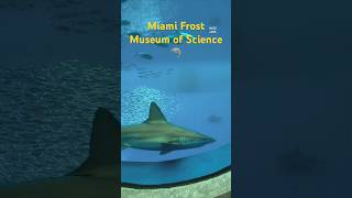 Phillip & Patricia Frost Museum of Science frostmuseumofscience shark jaws miami travel