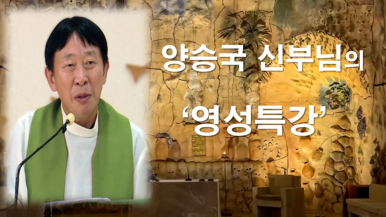 [양승국 스테파노 신부님의 영성강의] 십자가를 기쁘게 안고 가는 것이 이 시대의 순교입니다#양승국스테파노신부#살레시오회#영성특강#순교#순교영성#이마르티노