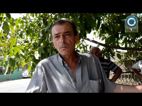 სოფელ ვაზისუბანში მევენახეებმა საპროტესტო აქცია გამართეს