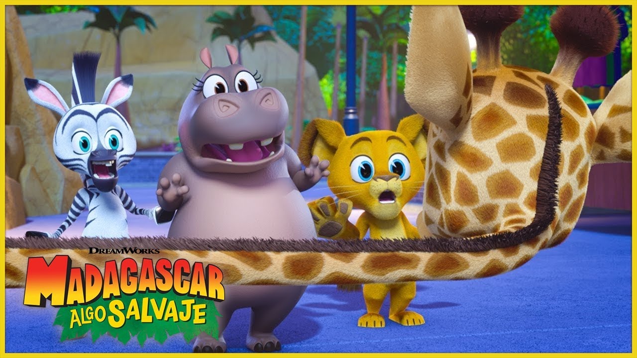 Emboscada en ambulancia 🚑 | DreamWorks Madagascar en Español Latino