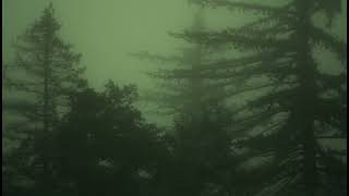 Good part of How I would die - Carter Burwell (Twilight Score) | slowed + reverb + rain |