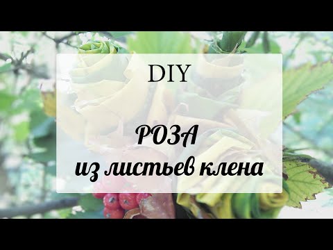 Роза из листьев клена своими руками