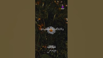 🕊️ من قلب الصلاة.. الشيخ أحمد كاسب بصوت يملأ المكان نورًا، تلاوة تحرك القلوب قبل العقول!