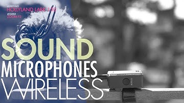Hollyland lark 150 Wireless microphone.field recording