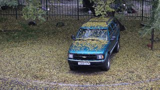 Chevrolet Blazer 1996 бензин 4.3 литра