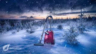 AFTER WINTER STORM CLEANING ASMR VACCUUM SOUNDS